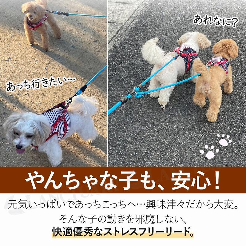 リード 犬 2匹でも可 ハーネス ダブルリード 散歩 しつけ 二頭 多頭