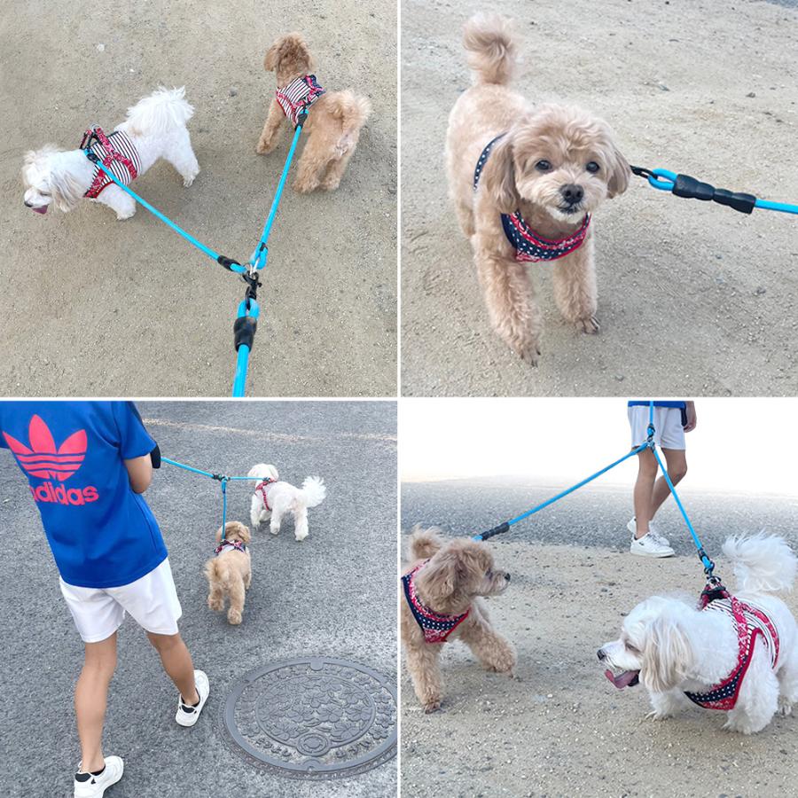 犬用【本革】ハンドフリーリードandハーネス多頭飼い用！　2匹❗️ tazan_0110