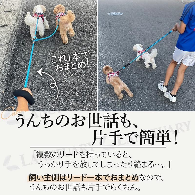 リード 犬 2匹でも可 ハーネス ダブルリード 散歩 しつけ 二頭 多頭