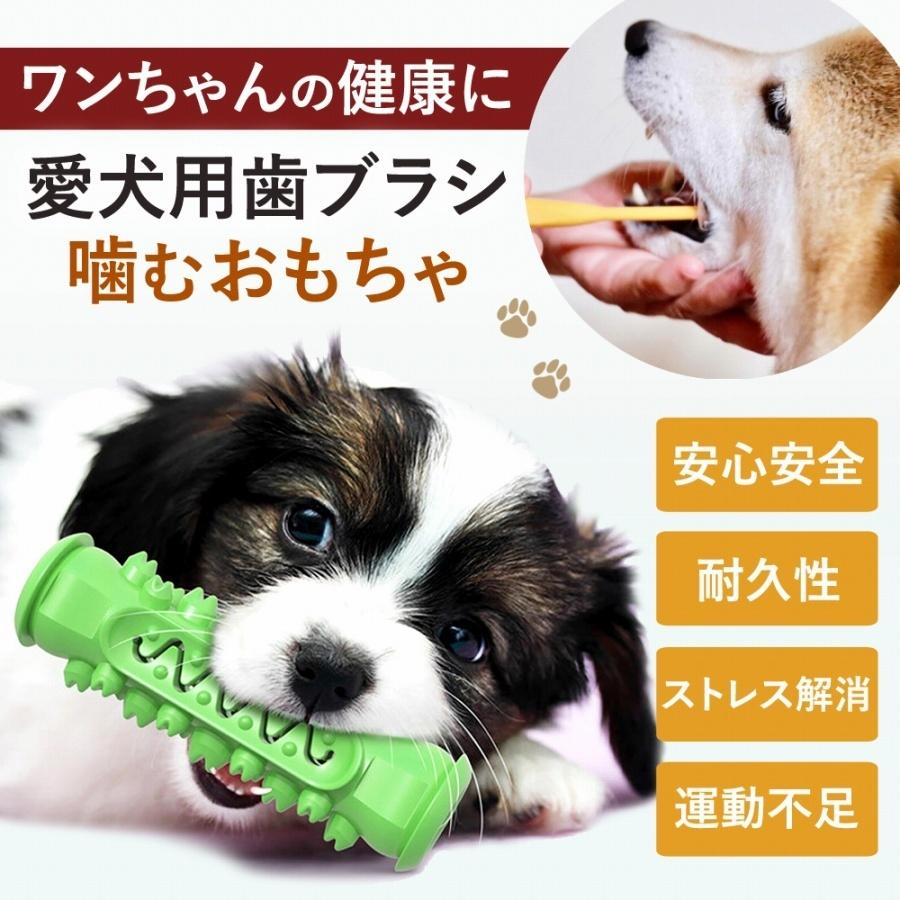 犬用おもちゃ 噛んで歯磨き 犬 ストレス解消 歯 ケア 健康 ペット
