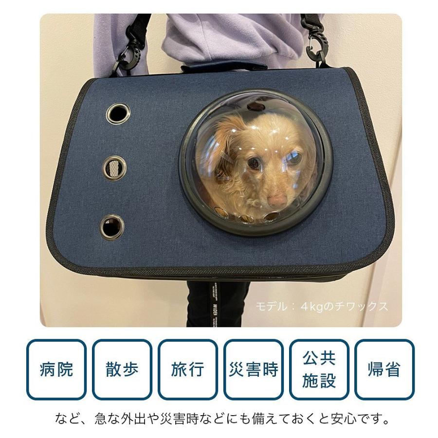 ペット キャリー 2way 肩掛け 手持ち 窓付き メッシュ カプセル