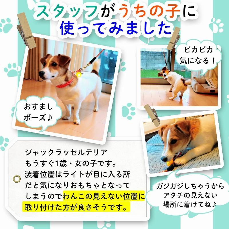 セーフティライト ペット用アクセサリー 犬 散歩 夜 首輪アクセサリー リードアクセサリー 2個セット 6カラー LEDライト 光る ドッグ ペット用品 ウォーキング｜lanc｜15