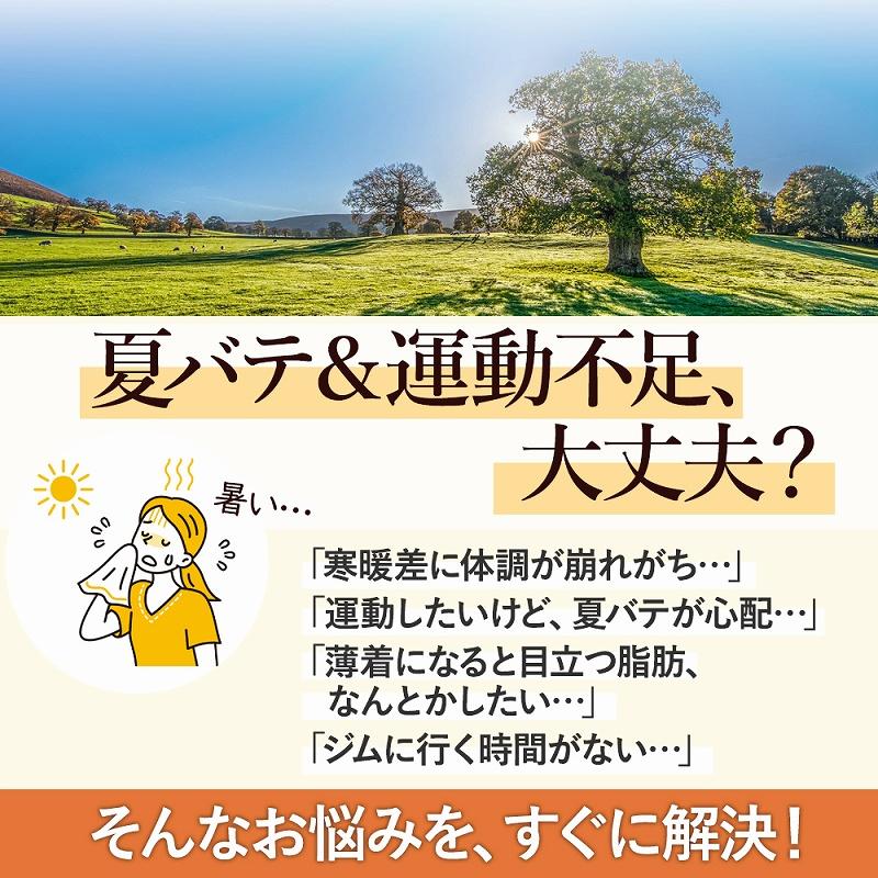 スライドディスク バランス 筋力 トレーニング 体幹 2個セット 室内