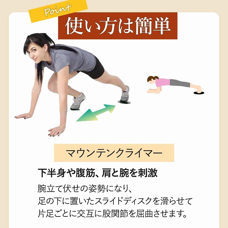スライドディスク バランス 筋力 トレーニング 体幹 2個セット