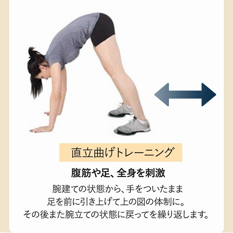 スライドディスク バランス 筋力 トレーニング 体幹 2個セット 室内