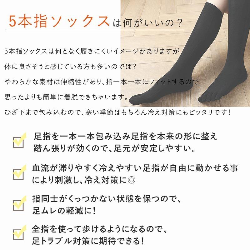 5本指ソックス レディース 2足セット ハイソックス ブラック コットン
