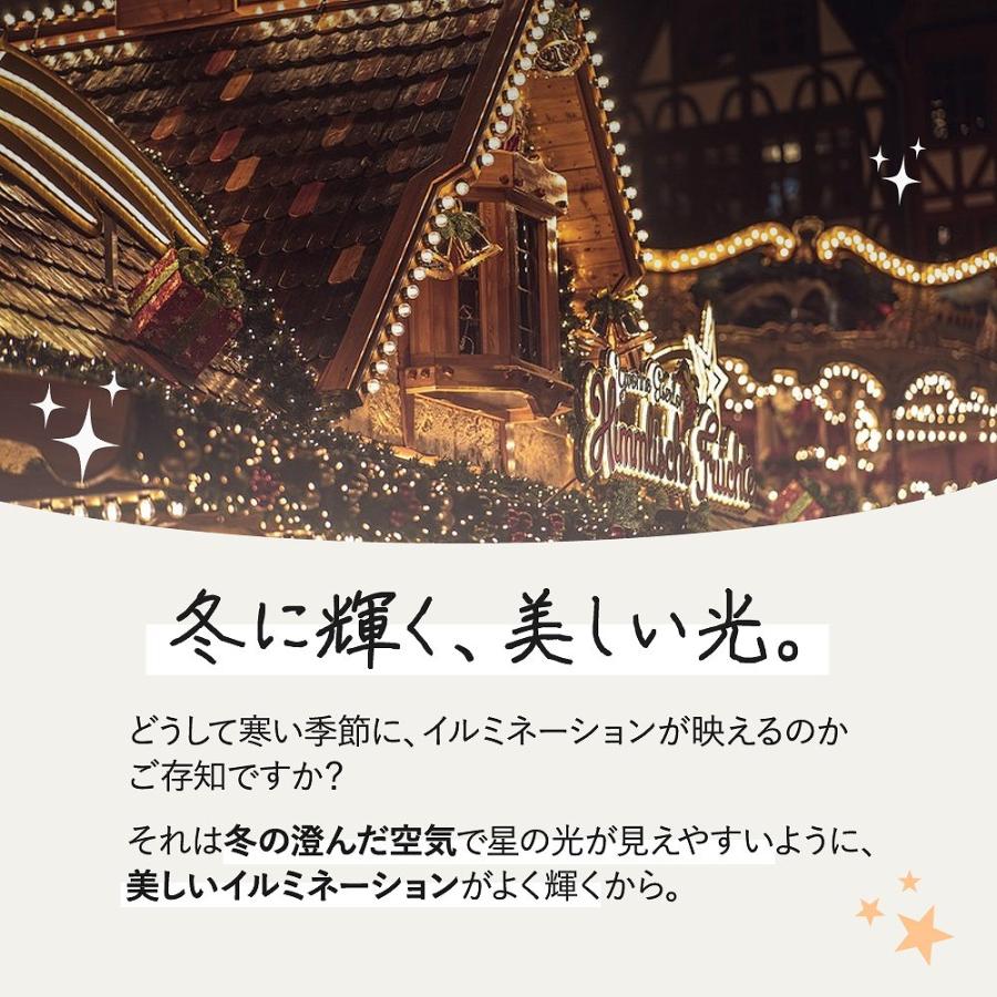 LED ソーラー式ライト 100球 屋外 ガーデンライト ワイヤー 暖色 白色
