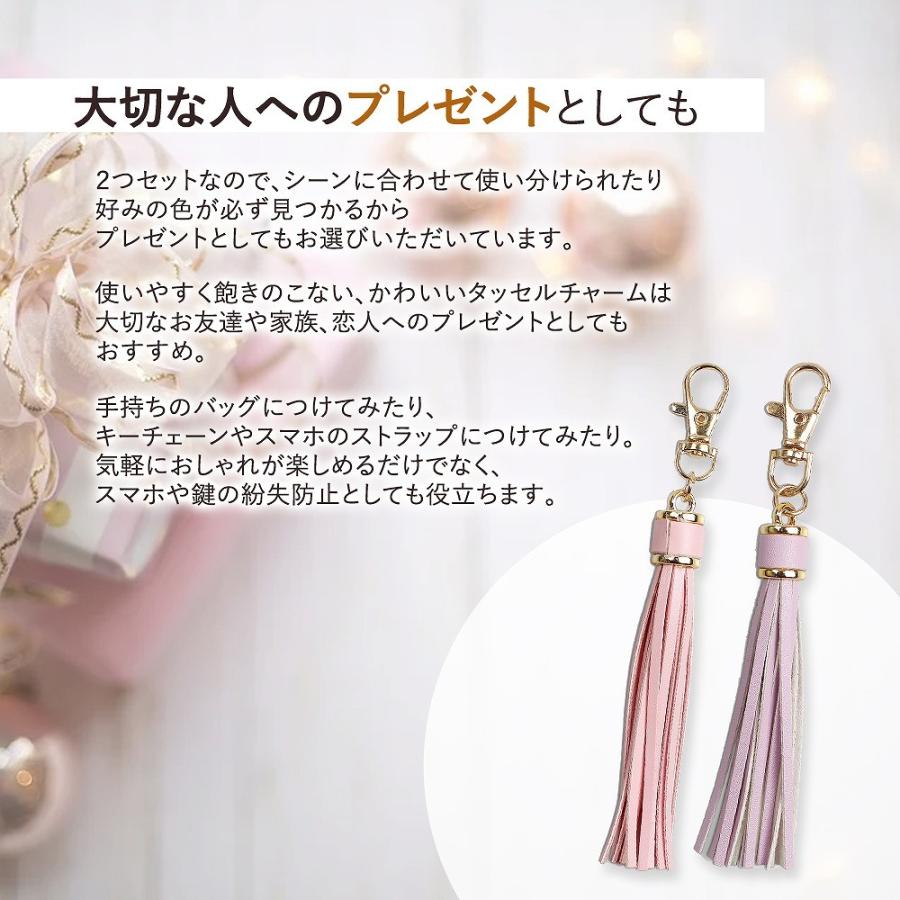 タッセル チャーム バッグチャーム バッグ キーホルダー かわいい