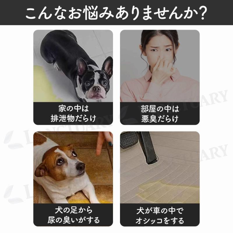 洗えるペットシーツ 2枚 70×50 ペットシーツ 洗える 犬 猫 トイレ