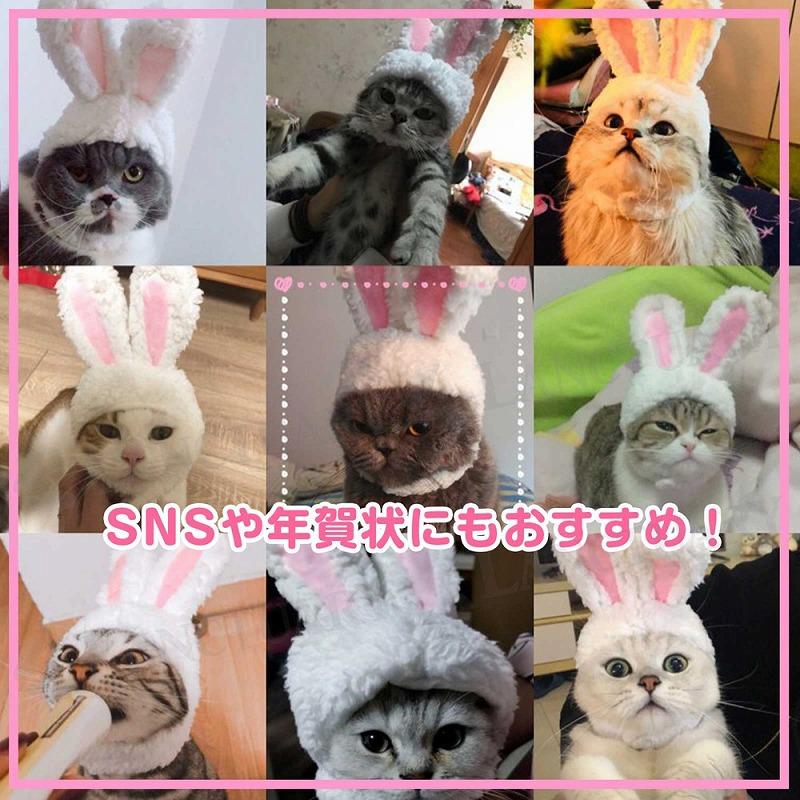ペット用 うさぎ かぶり物 2個セット コスプレ 帽子 カチューシャ 衣装