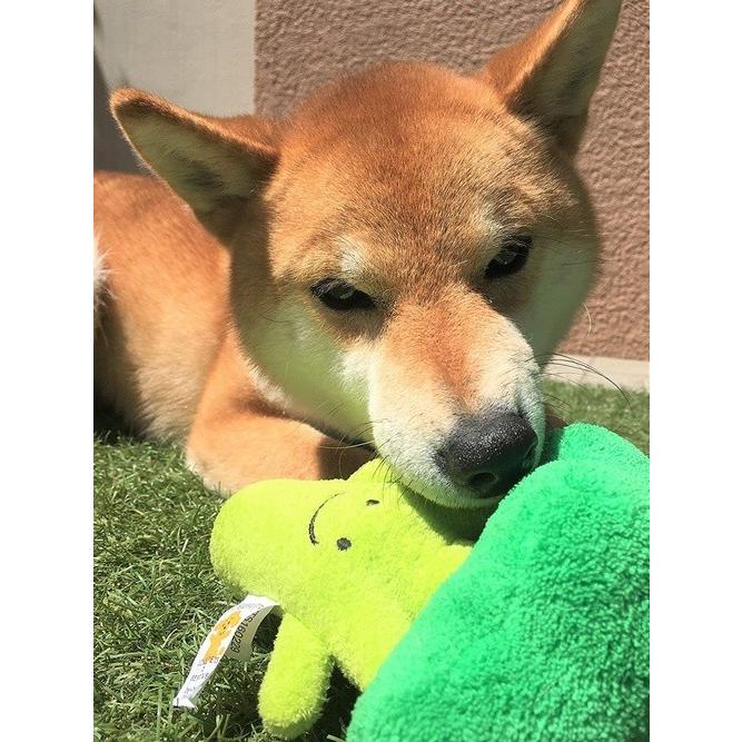 犬用おもちゃ ブロッコリー 可愛い ペットトイ 犬のおもちゃ ストレス解消 音がなる 緑 ワンちゃん しゃかしゃか Dogtoy Broccoli Lanctuary 通販 Yahoo ショッピング