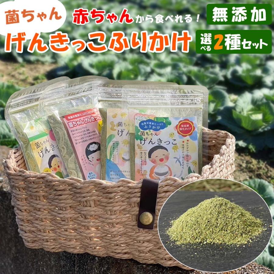 ふりかけ 菌ちゃんげんきっこ 元気っこ 無添加 栄養 菌ちゃんファーム