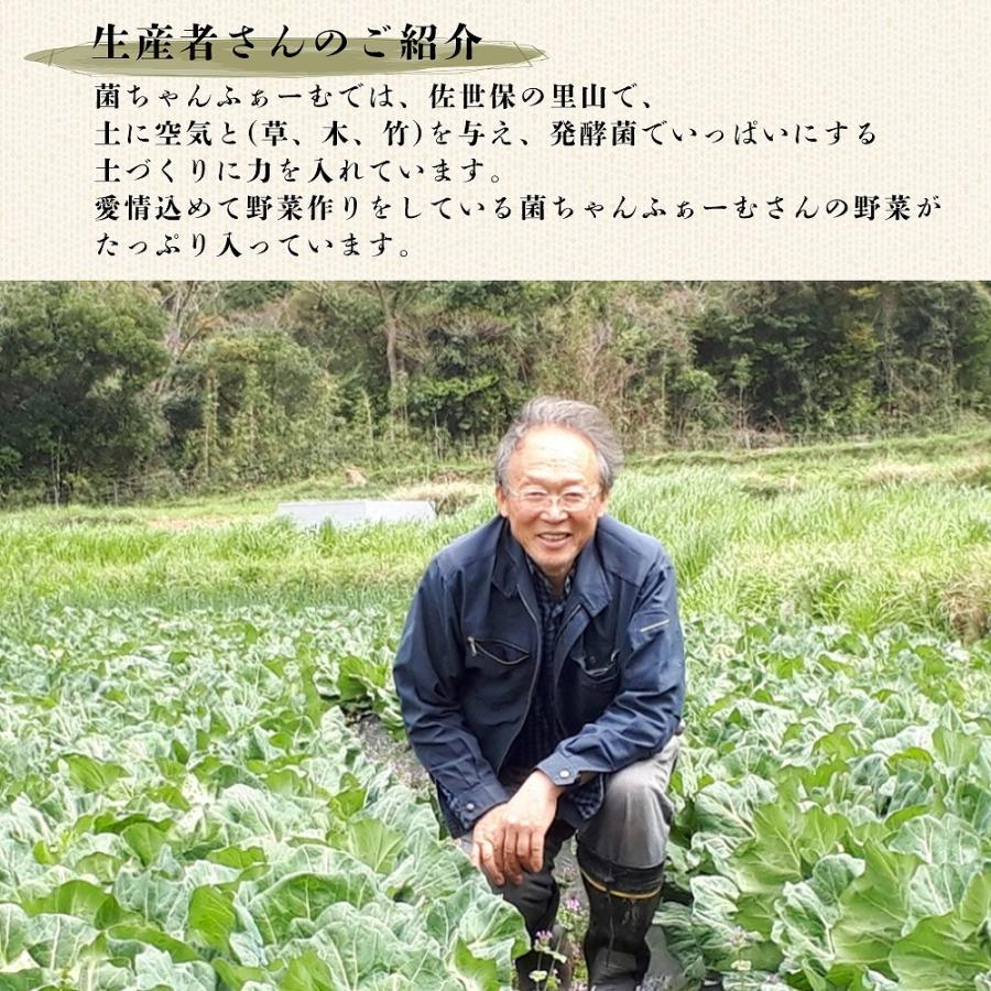 ふりかけ 菌ちゃんげんきっこ 元気っこ 無添加 栄養 菌ちゃんファーム