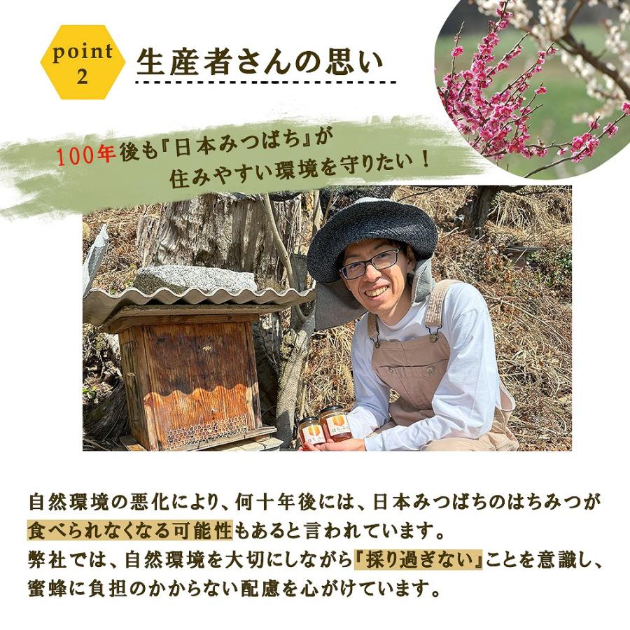 蜂蜜 国産 はちみつ 日本ミツバチ 300g プレゼント 百花蜂蜜 産地直送