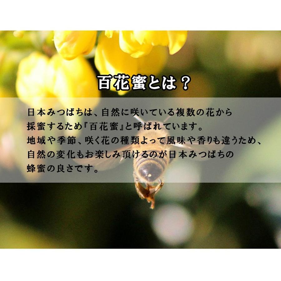 国産蜂蜜 はちみつ 日本ミツバチ 300ｇ プレゼント 百花蜂蜜 産地直送 お祝い 内祝い グルメ 純粋 国産 健康 二ホンミツバチ ハニー｜lanc｜09