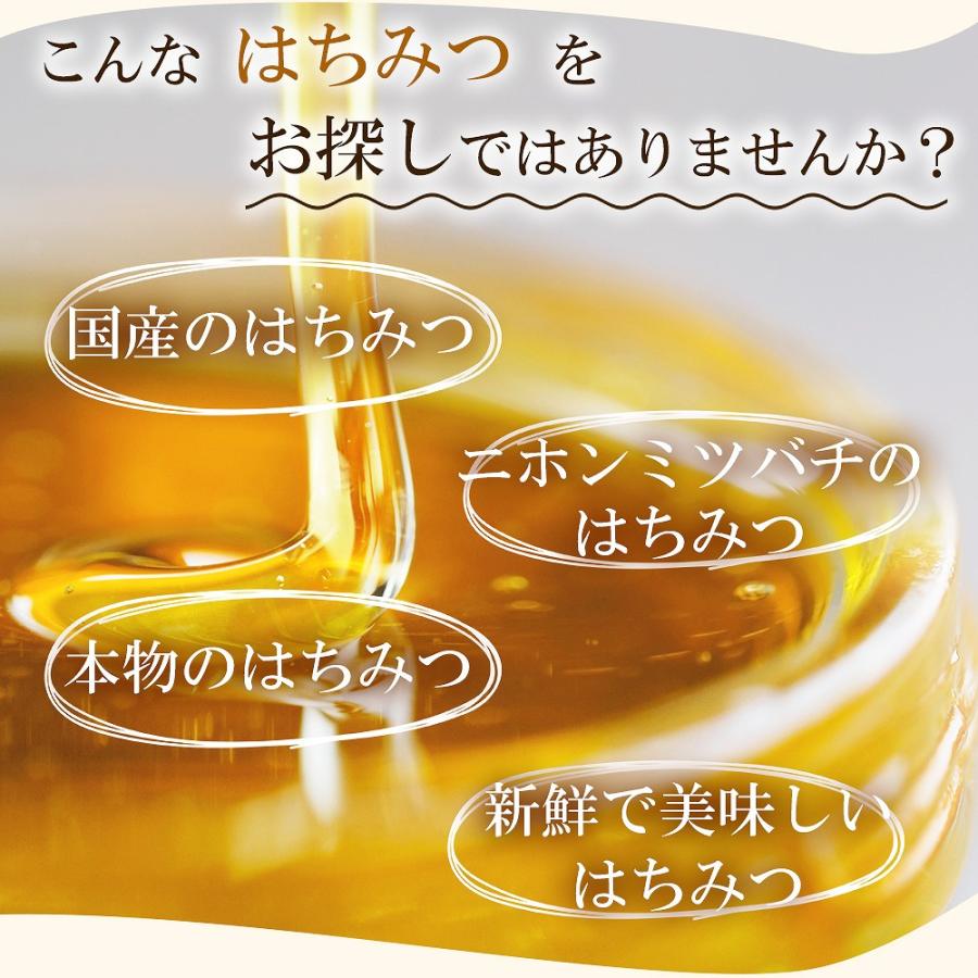 はちみつ 国産 日本みつばち たった1％ 百花ハニー プレゼント 生