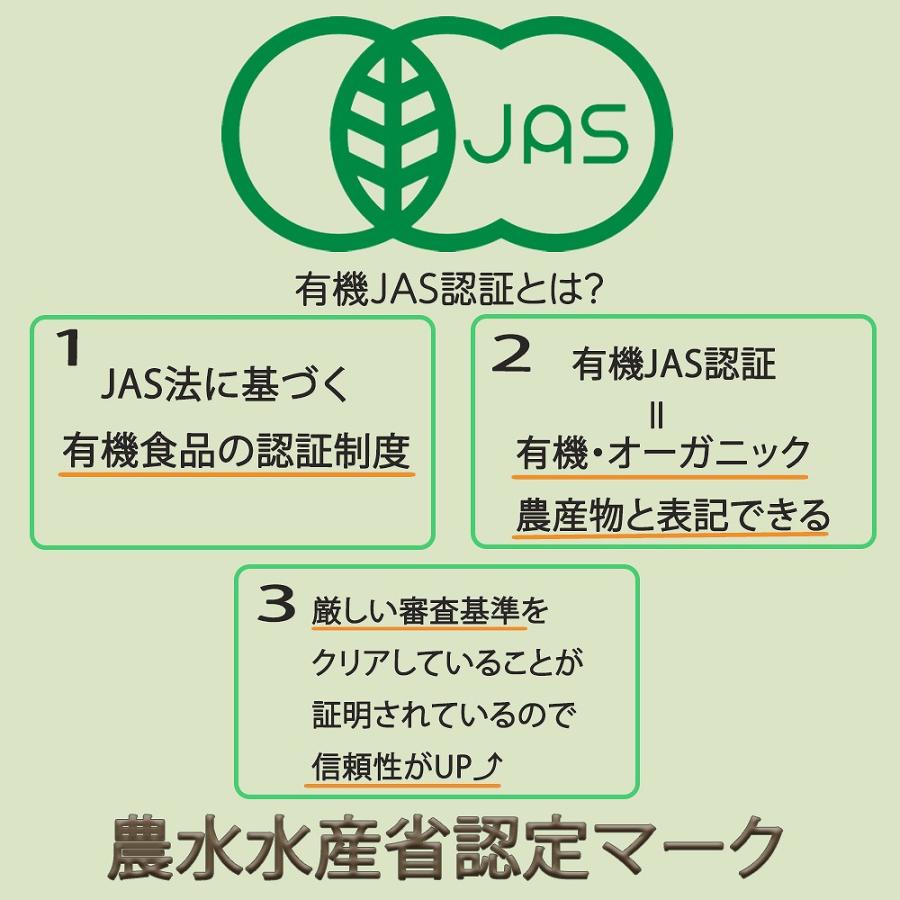 ビーフン 有機ケール玄米ビーフン 有機 JAS ノンフライ製法 台湾有機甘藍菜玄米米粉 美味しい おすすめ オーガニック ビタミン ミネラル 食物繊維｜lanc｜06