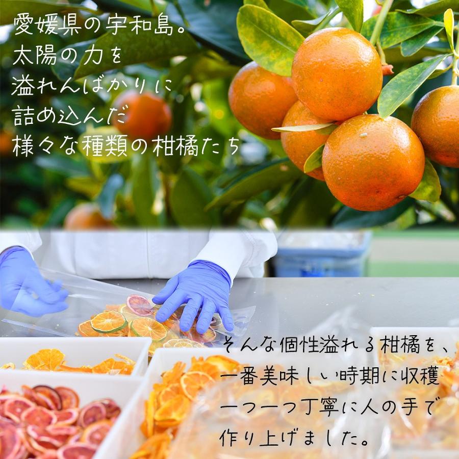 ドライフルーツ シトラスチップス 国産 愛媛県 柑橘 無添加 砂糖不使用
