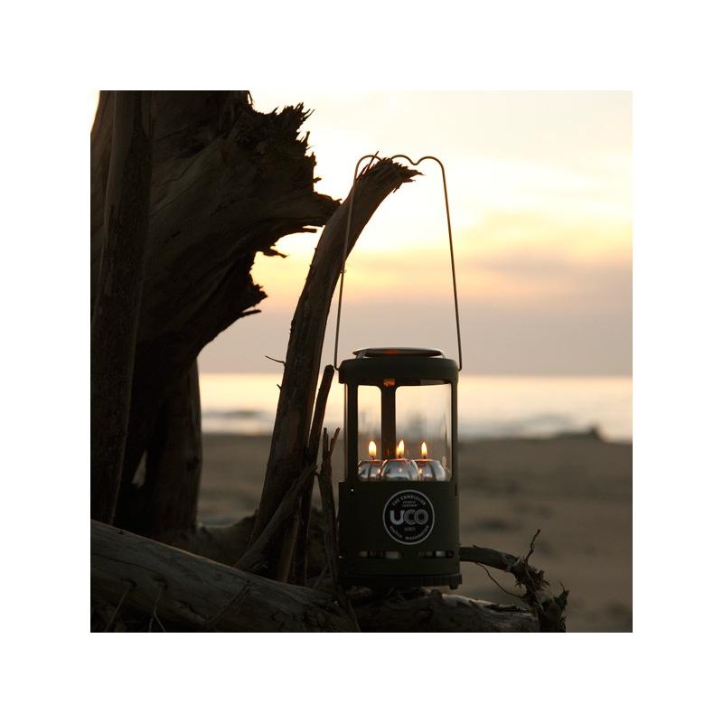 モチヅキ　キャンドリア　24392 |  | 02