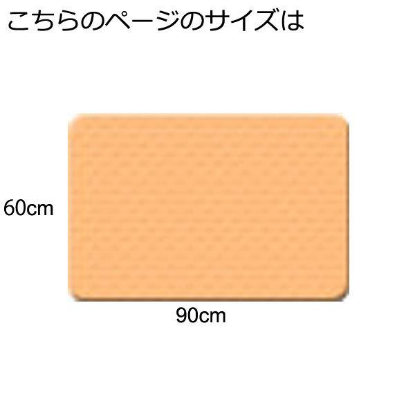 天然素材 藤マット 立山 60×90cm 籐マット 籐あじろ 60×90cm 裏付 ウレタン仕上げ マット 玄関 洗面所