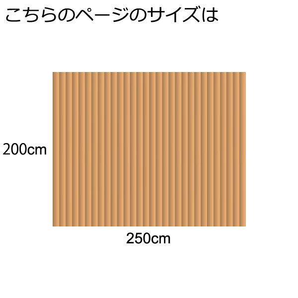 アウトレット 籐カーペット 籐むしろ 200×250cm 裏付 ブリーチ ラグ