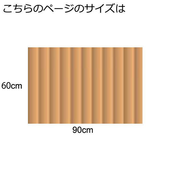 アウトレット 籐マット 籐むしろ 60×90cm 裏付 ブリーチ マット 玄関