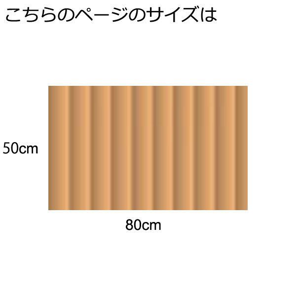 籐マット 籐むしろ 50×80cm 裏付 ナチュラル マット 玄関 洗面所 脱衣