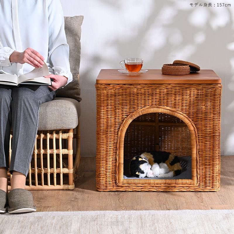 ニトリ ラタンチェア シャビーシック ホワイト 良品 NITORI ニトリ