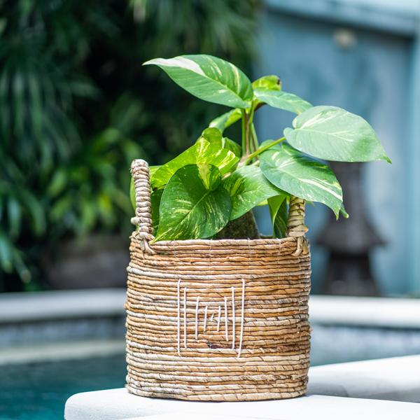 アウトレット アジアン家具 バスケット かご 収納 持ち手付き バナナ