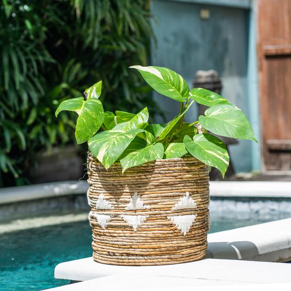 アウトレット アジアン家具 バスケット かご 収納 持ち手付き バナナ