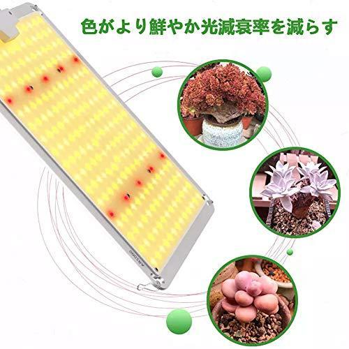 Zotonale 植物育成ライト Led光合成ライト 1000w Lm281b 25型samsungライトチップ フルスペクトル 光補足 植物成長 S 1224 Lanihonua 通販 Yahoo ショッピング