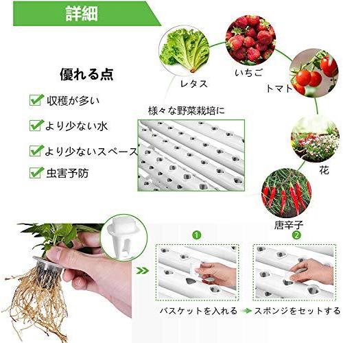 初回限定 水耕栽培キット 庭園栽培 レタス栽培 水菜栽培 野菜栽培 栄養液栽培 縦型 4パイプ36穴 New限定品 Www Tiebreak Fr