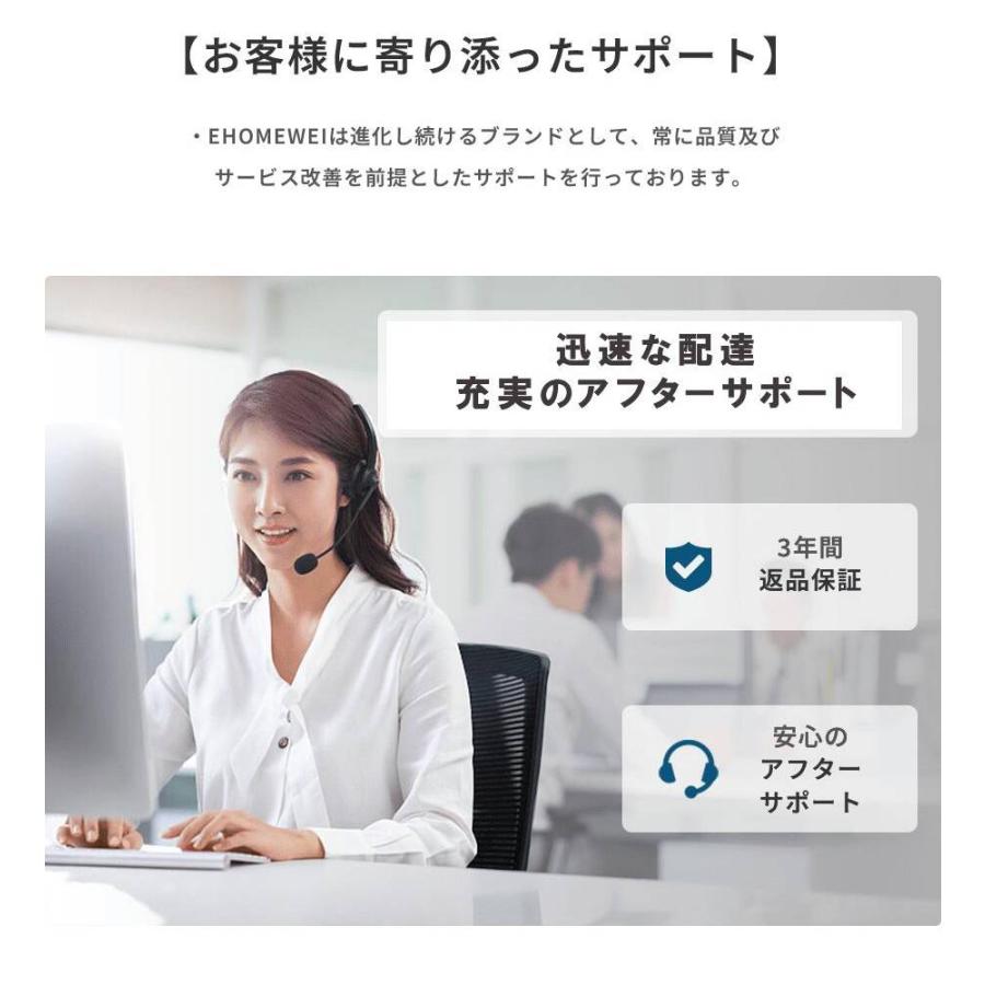 EHOMEWEI 【法人限定商品】モバイルモニター 有機EL LO-133PF 13.3