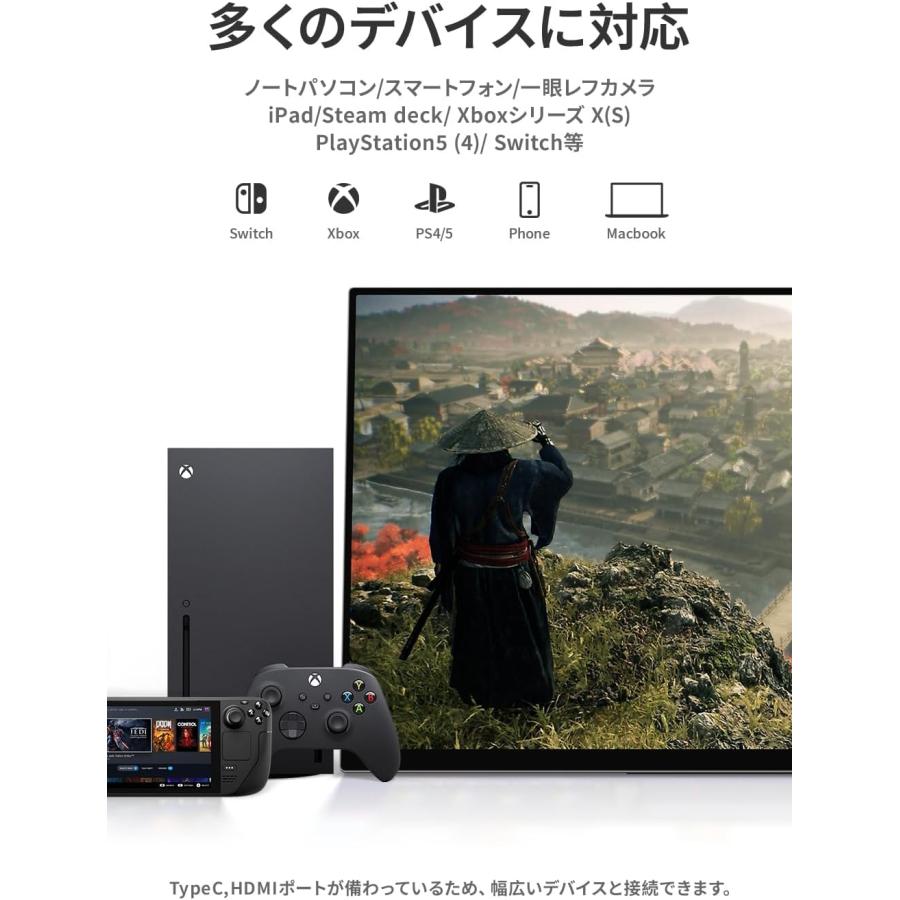 EHOMEWEI 【法人限定商品】モバイルモニター RO-160PU 16インチ