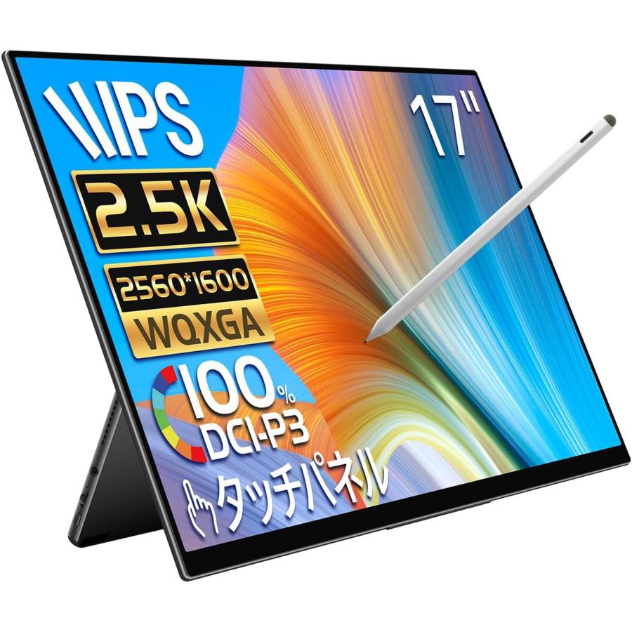 EHOMEWEI 【法人限定商品】モバイルモニター EHOMEWEI RQG-170PW