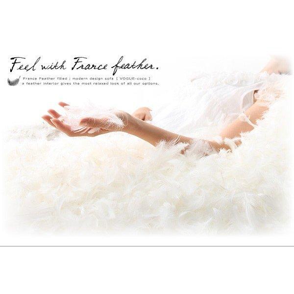 ソファー フランス産フェザー入りモダンデザインソファ 幅145cm |  | 01