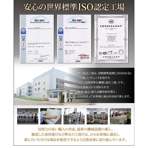 ローベッド クイーン(Q×1) フランスベッド 羊毛入りゼルトスプリング マットレス付 リクライニング機能付き マットレス付き | フランスベッド | 14