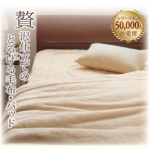 発熱わた入り 敷きパッド ダブル 単品 プレミアムマイクロファイバー 毛布・パッド |  | 02