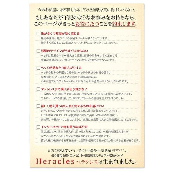 収納ベッド 国産 組立設置付 フランスベッド マルチラススーパースプリング ダブル | フランスベッド | 03