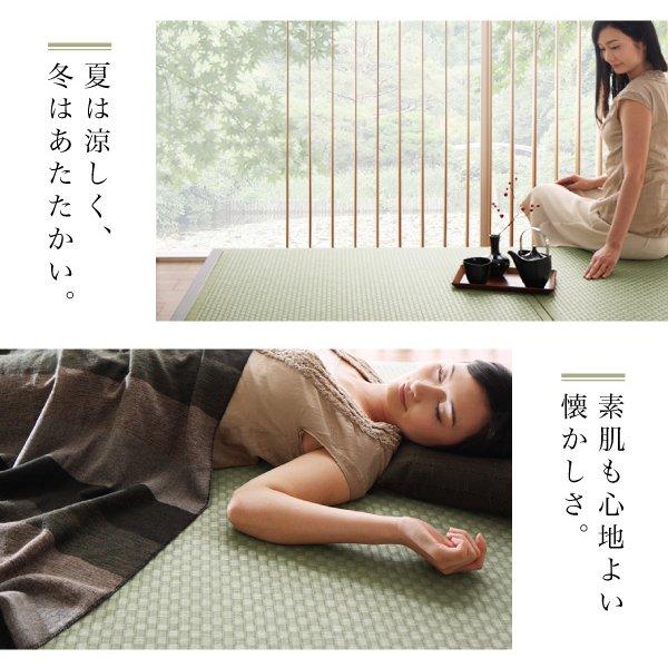 畳収納ベッド 美草・日本製 ワイド 40mm厚 セミダブル |  | 04