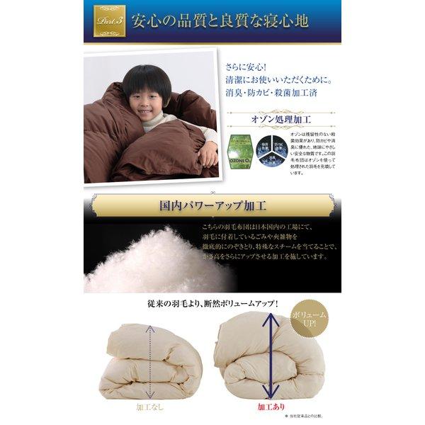 洗える羽毛布団8点セット セミダブル フランス産ダックダウンエクセルゴールド 洗える 硬わた入り極厚ボリュームタイプ |  | 10