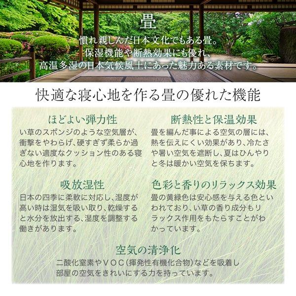 ガス圧式跳ね上げ畳ベッド 国産畳 シングル 深さラージ日本製 |  | 04