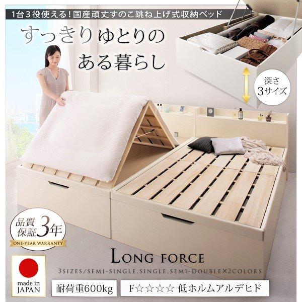 大容量収納ベッド シングル 深さグランド 国産 すのこ 跳ね上げ式 |  | 01