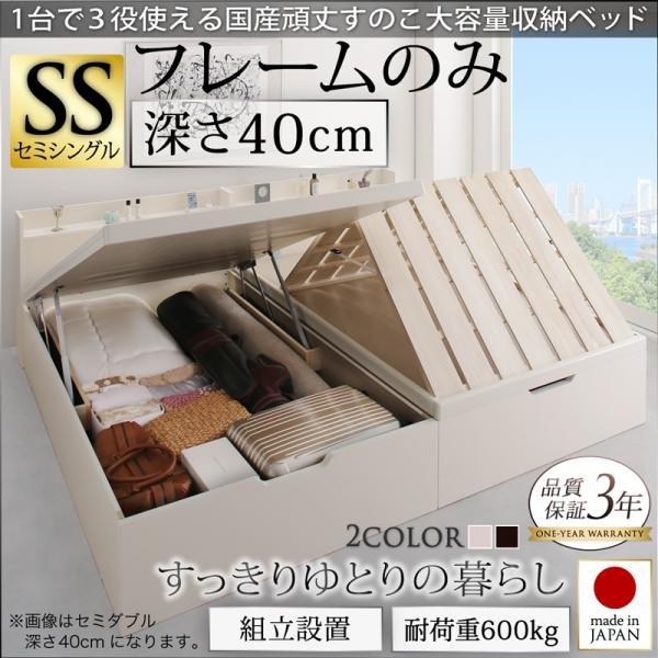 大容量収納ベッド セミシングル 深さラージ 組立設置付 国産 跳ね上げ式 | 