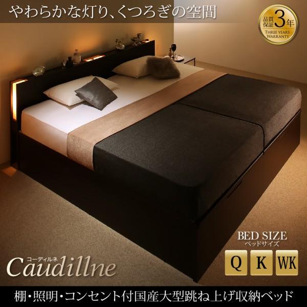 ベッドフレームのみ ベッド 跳ね上げ 収納 縦開き クイーン SS×2 棚 照明・ 組立設置付 |  | 01