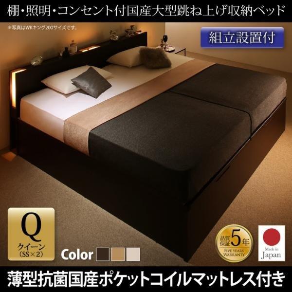 ガス圧 跳ね上げ ベッド 収納 クイーン SS×2 薄型抗菌ポケットコイル 縦開き 組立設置付 | 
