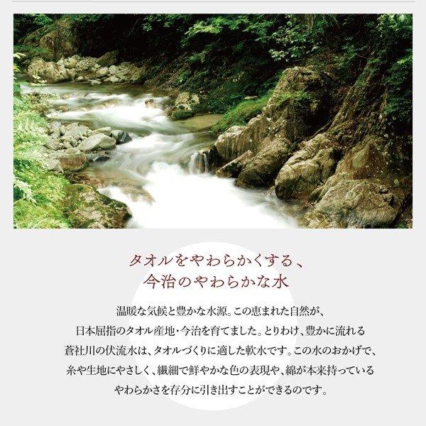 枕カバー 1枚 今治タオル 綿100％ 洗える コットン |  | 08