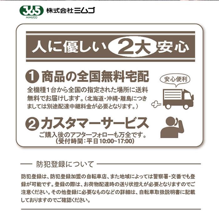 電動アシスト三輪自転車 大人用 三輪車 自転車 ミムゴ ACTIVEPLUS ノーパンク 電動アシスト自転車 20インチ 3輪自転車 完全組立配送も選べますの画像