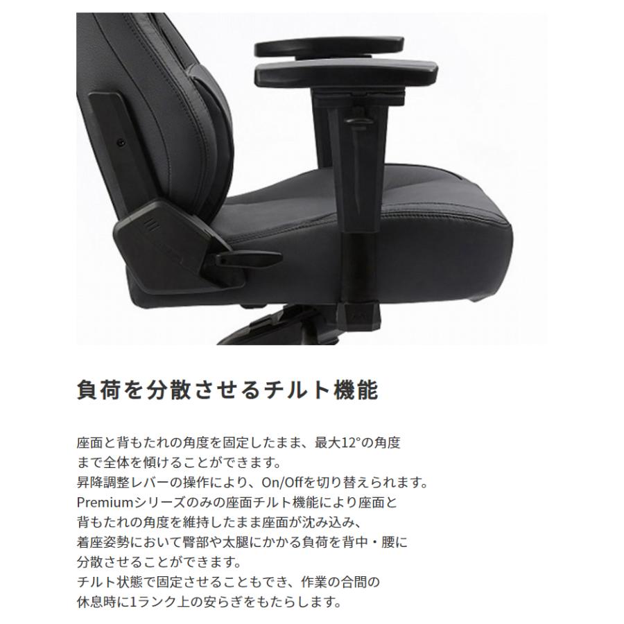 AKRacing ゲーミングチェア Premium Monarca |  | 08