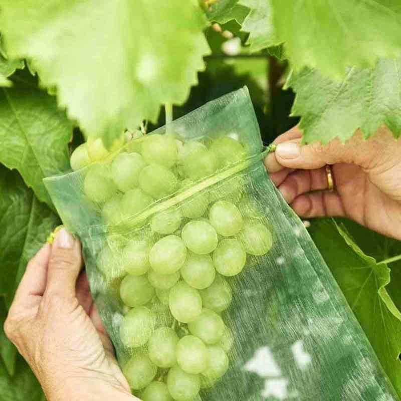 果物袋 保護ネット 防虫 ネット 100枚入 果樹用防鳥ネット オーガンジー生地 通気性 メッシュ 鳥よけネット 鳩よけネット 果物保護バッグ 果実袋｜lanui｜05